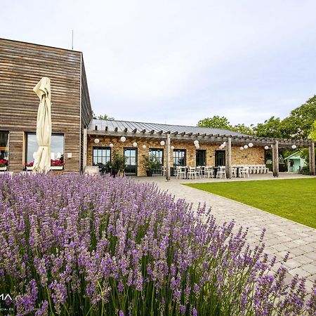 Panoráma Birtok - Wellness Panzió, Konferencia és Rendezvényközpont Acomodação com café da manhã Győrújbarát Exterior foto